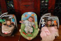 dsc_6333.jpg In a Schneider sandwich