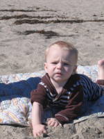 img_2364.jpg Grandpa & JoJo take the boys to the beach.