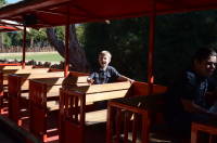 dsc_2792.jpg A train.  A zoo.  Together!