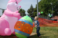 dsc_5984.jpg Hey Mr. Bunny, I found an egg you left behind...