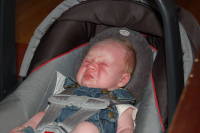 dsc_4034.jpg Click for the rest of this set