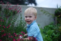 dsc_0075.jpg Click for the rest of this set