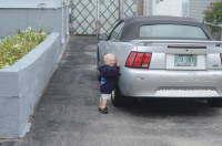 dsc_6835.jpg This is the grin that says "I love doing what I know I'm not supposed to do".