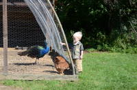 dsc_7027.jpg Animals!