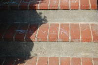 dsc_5772.jpg ...Devin...