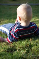 dsc_7216.jpg Time to relax.