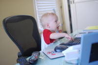 dsc_2804.jpg "They'll get a much better yield if I just re-allocate a little here"