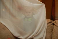 dsc_3802.jpg Can you find Devin in this picture?