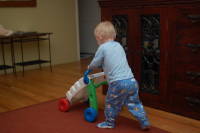 dsc_3853.jpg Devin keeps getting closer to walking on his own.