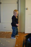 dsc_4069.jpg Then walk on them?