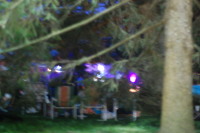 dsc_5392.jpg This approixmates our view of the concert