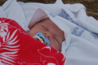 dsc_5525.jpg Exhausted after playing at the beach