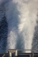 dsc_5925.jpg The fast ferry zips us home
