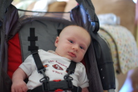 dsc_7320.jpg Devin gets a new stroller, and the Niners finish off the Rams.  What a good day!