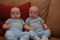 dsc_7632.jpg What do you know, they're wearing the same outfit!