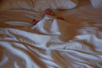 dsc_8550.jpg A king size bed fit for the prince