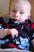 dsc_8582.jpg Devin's trip to Honolulu is cut short.  Grandpa is sick, and we have to fly back to California the day after we got in.