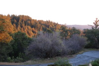 dsc_9031.jpg Another great evening in the mountains