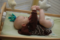 dsc_1744.jpg Devin's new favorite munchie - his toes!