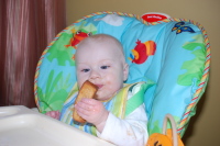 dsc_2376.jpg Devin gnaws on Zwieback.  Feels good on the teeth.