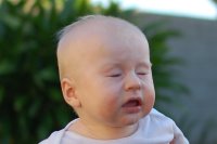 dsc_2510a.jpg Aaah-choo!