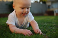 dsc_2584.jpg How did mom & dad manage to get such a green yard?