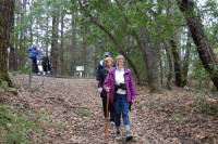 dsc_6687.jpg JoJo went off-road.  We had to take a picture.
