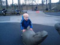 1239222105816.jpg I wonder where Hippo Playground got it's name...