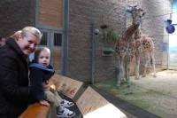 dsc_7504.jpg We're at the Bronx Zoo!