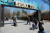 dsc_7540.jpg Time to go home.  Devin's getting tired!  He slept the whole ride home.