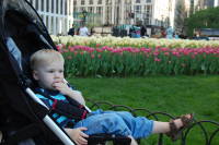 dsc_8073.jpg Look at these pretty flowers.