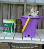 dsc_6077.jpg Photo by Devin