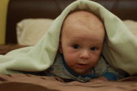 dsc_8469.jpg See http://devin.busam.com/pics/month6/?img=133