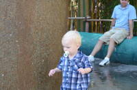 dsc_6168.jpg Nothing like a water feature on a hot day.