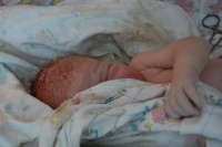 dsc_1739.jpg Being inspected right after coming out.