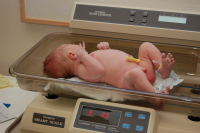 dsc_1771.jpg It's official, he's huge!