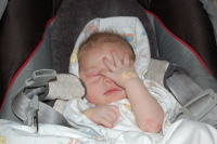 dsc_1939.jpg What have I gotten myself into with these amateur parents???