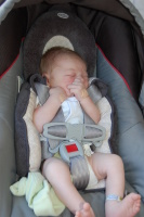 dsc_1970.jpg Devin learns how to suck his thumb.  Making him (and everybody else) happy!