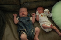 dsc_4003.jpg Devin & Alessia.  Devin is one week older.