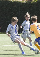 ayso_12u_final_dsc_4402.jpg 