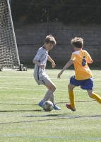 ayso_12u_final_dsc_4589.jpg 